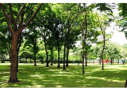 2018–08-06 曼谷人均绿地6.53㎡ 忙增建3公园